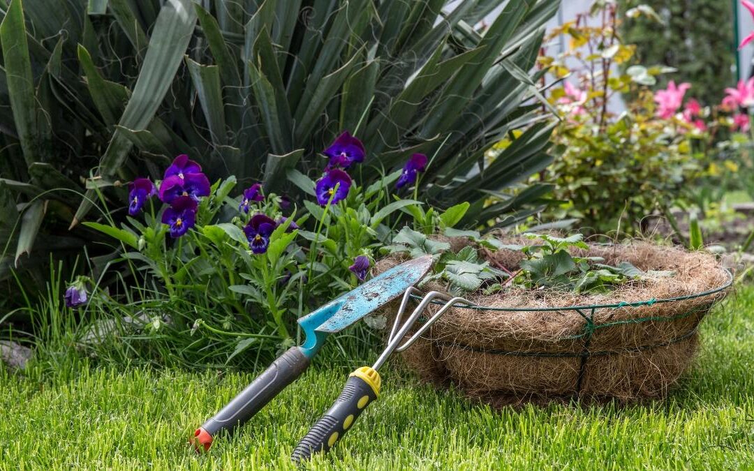 A l’ombre des Figuiers, le partenaire ideal pour un jardin d’exception