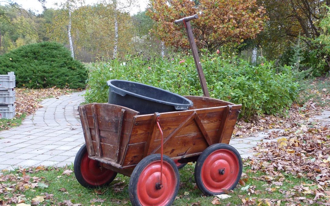 Comment choisir un bon chariot de jardin ?