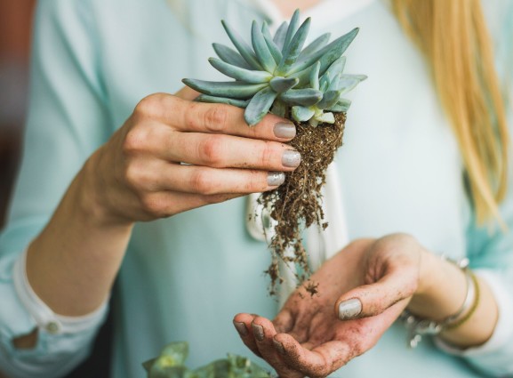 Préparez votre jardin pour l’été: les meilleures offres du moment