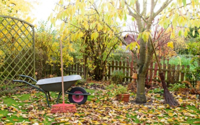 Jardinage d’automne : que faire pour permettre à son jardin de bien passer l’hiver ?