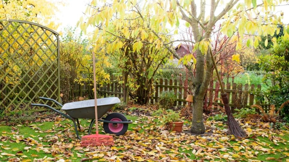 Jardinage d’automne : que faire pour permettre à son jardin de bien passer l’hiver ?