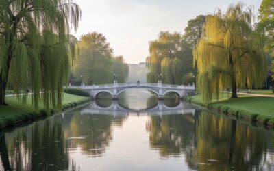Découvrez la propriété de Gustave Caillebotte à Yerres : un joyau impressionniste en Essonne